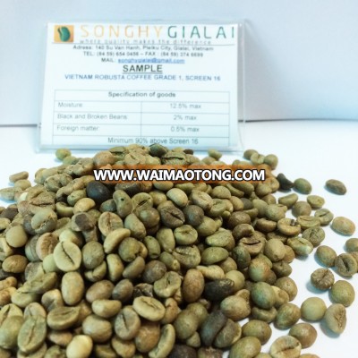 Robusta coffee SCR 18 Cleaned