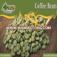 INDIAN ROBUSTA GREEN COFFEE BEAN