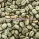 Coffee bean for export