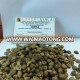 Vietnam Robusta Green Coffee bean