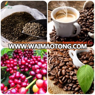 COFFEE BEANS ROBUSTA- SCREEN 18 GRADE 1 - VIETNAM ORIGIN