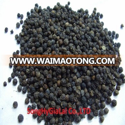 VIETNAM BLACK PEPPER HIGH QUALITY