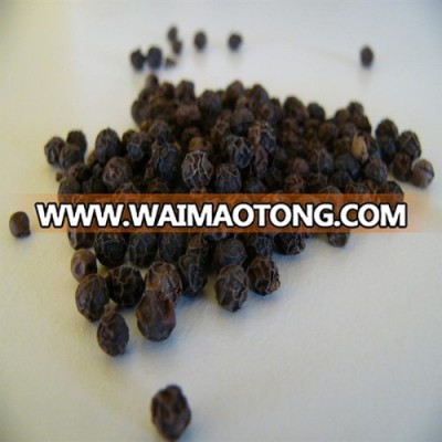 VIETNAM BLACK PEPPER HIGH QUALITY