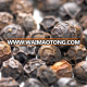 Black Pepper Fresh Spices and High Quality Vietnam factory